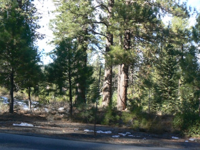 13590 Donner Pass Rd in Truckee, CA - Building Photo - Other