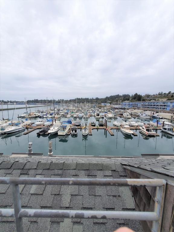 property at 1000 SE Bay Blvd.