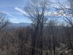 420 Windswept Dr in Asheville, NC - Building Photo - Building Photo