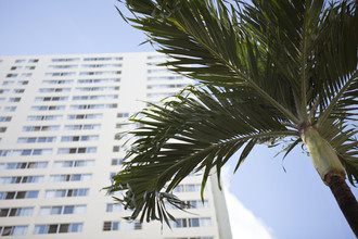 Maunakea Tower Apartment Homes in Honolulu, HI - Building Photo - Building Photo