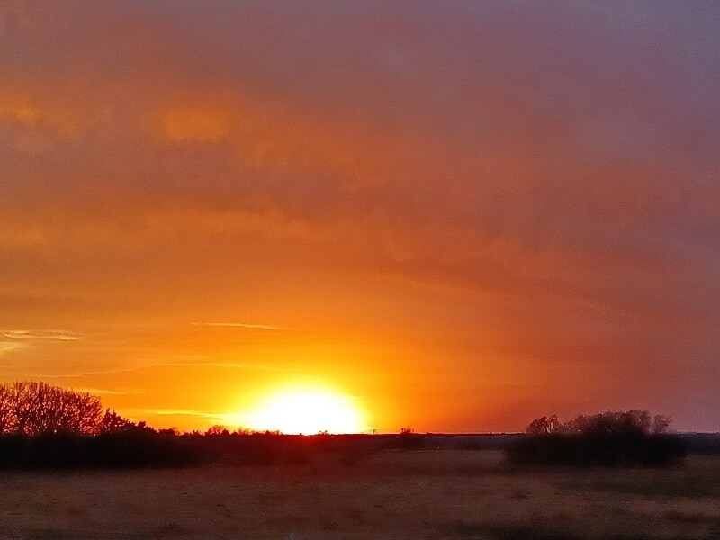3570 Vz County Rd 2602 in Wills Point, TX - Foto de edificio