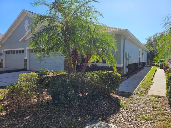 6915 Surrey Oak Dr in Apollo Beach, FL - Building Photo - Building Photo