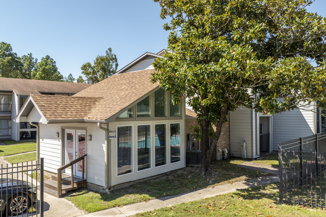 Northeast Pines in Humble, TX - Building Photo