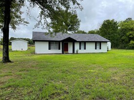 247 Co Rd 4030 in Mount Pleasant, TX - Building Photo