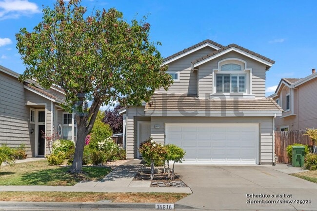 property at 36816 Papaya St
