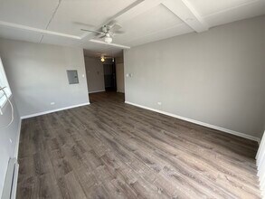 1128 Des Plaines Ave in Forest Park, IL - Building Photo - Building Photo
