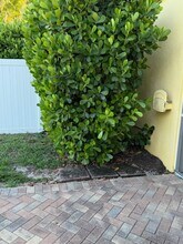 1201 Solana Rd in Naples, FL - Building Photo - Building Photo
