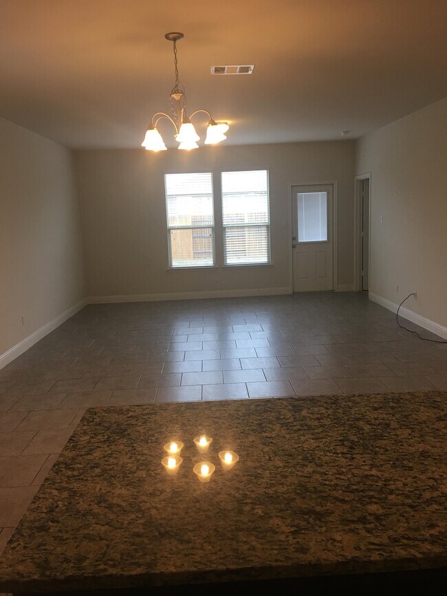19824 Cherubini Trail in Pflugerville, TX - Building Photo - Building Photo