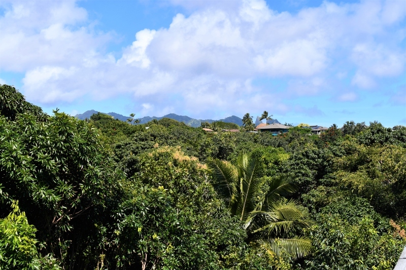 2 bdr in Kapaa, HI - Foto de edificio