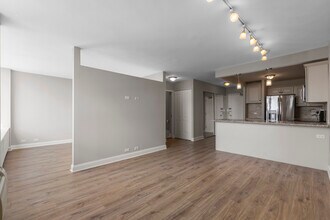 1355 N Sandburg Terrace in Chicago, IL - Building Photo - Building Photo