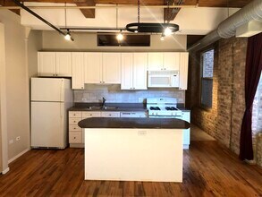420 S Clinton St in Chicago, IL - Building Photo - Building Photo
