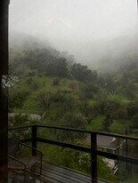 2252 Laurel Canyon Blvd, Unit 1bd Laurel Canyon ViewApt in Los Angeles, CA - Building Photo