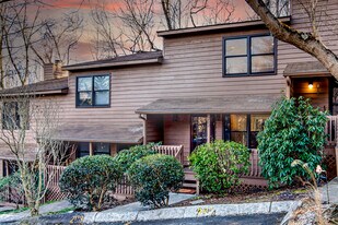 203 Buck Cove Terrace in Asheville, NC - Building Photo