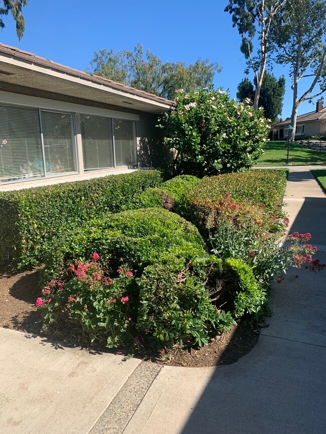 5146 Maple, Unit 5146 Maple Irvine CA