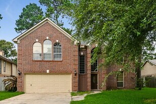 11914 Serendipity Ln in Cypress, TX - Building Photo
