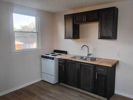 229 W Pennsylvania St in Shelbyville, IN - Building Photo