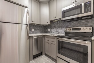 103 W Springfield St, Unit 3 in Boston, MA - Building Photo - Building Photo