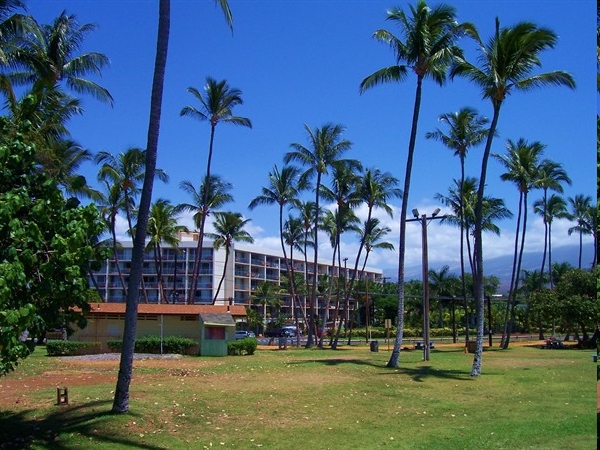 The Island Surf in Kihei, HI - Building Photo - Building Photo