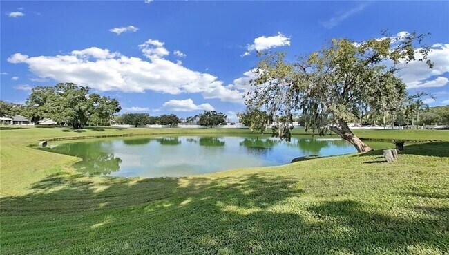 3121 Beecher Dr E in Palm Harbor, FL - Building Photo - Building Photo