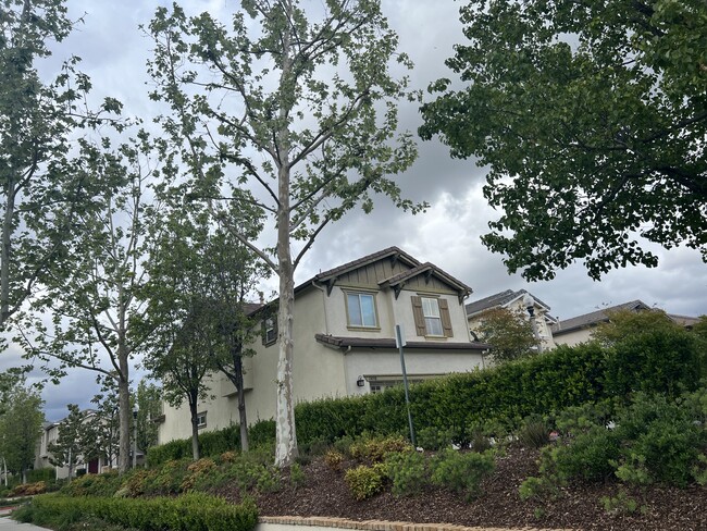 24098 Stone Creek Dr in Santa Clarita, CA - Foto de edificio - Building Photo