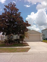 7724 Outerbridge St in Wesley Chapel, FL - Building Photo