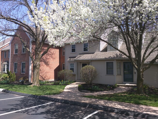 10 Orchard Brook Dr in Wethersfield, CT - Building Photo - Building Photo