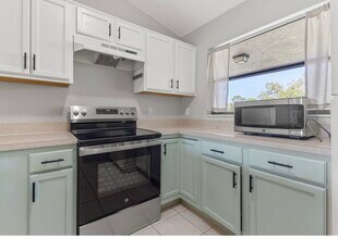 1662 Seascape Cir in Tarpon Springs, FL - Building Photo - Building Photo