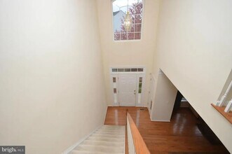 14876 Cartagena Dr in Gainesville, VA - Building Photo - Building Photo
