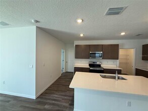 32514 Weathered Oak Dr in Wesley Chapel, FL - Building Photo - Building Photo