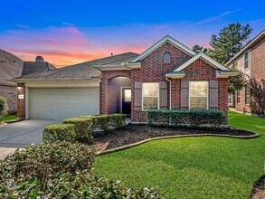 95 Sagamore Ridge Pl in Spring, TX - Foto de edificio - Building Photo