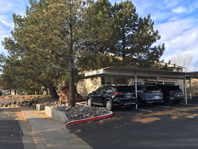3865 E Leonesio Dr in Reno, NV - Building Photo - Building Photo