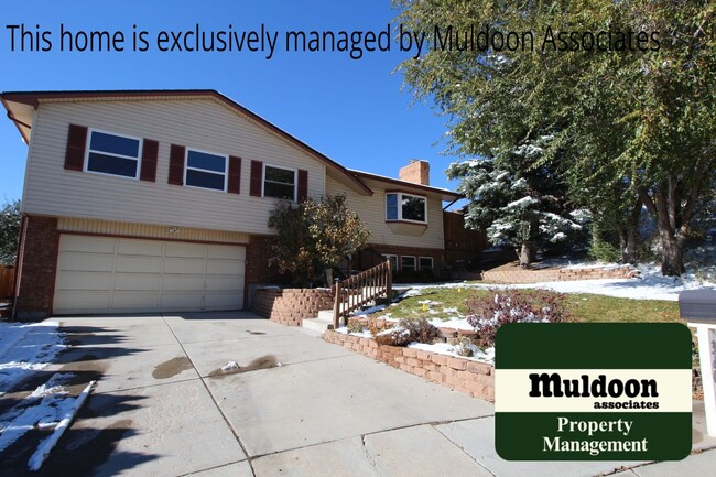 3606 San Pedro Pl in Colorado Springs, CO - Building Photo - Building Photo