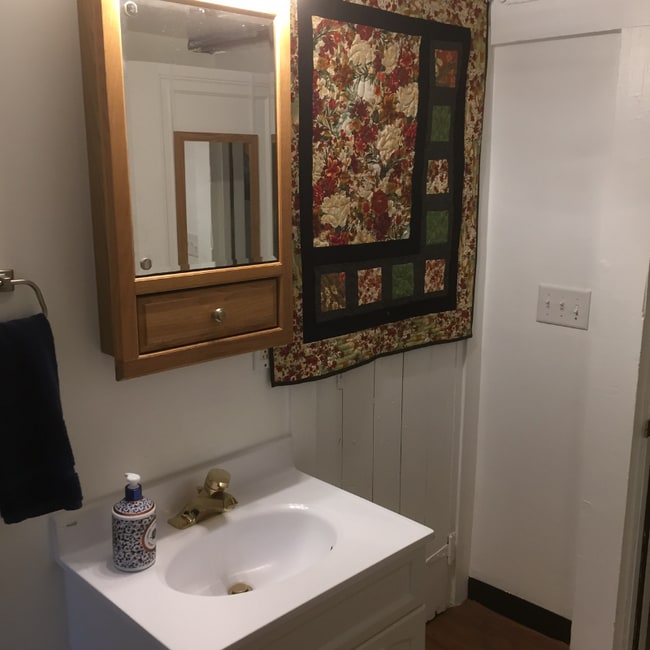 352 Marion Ave in Glen Ellyn, IL - Foto de edificio - Building Photo