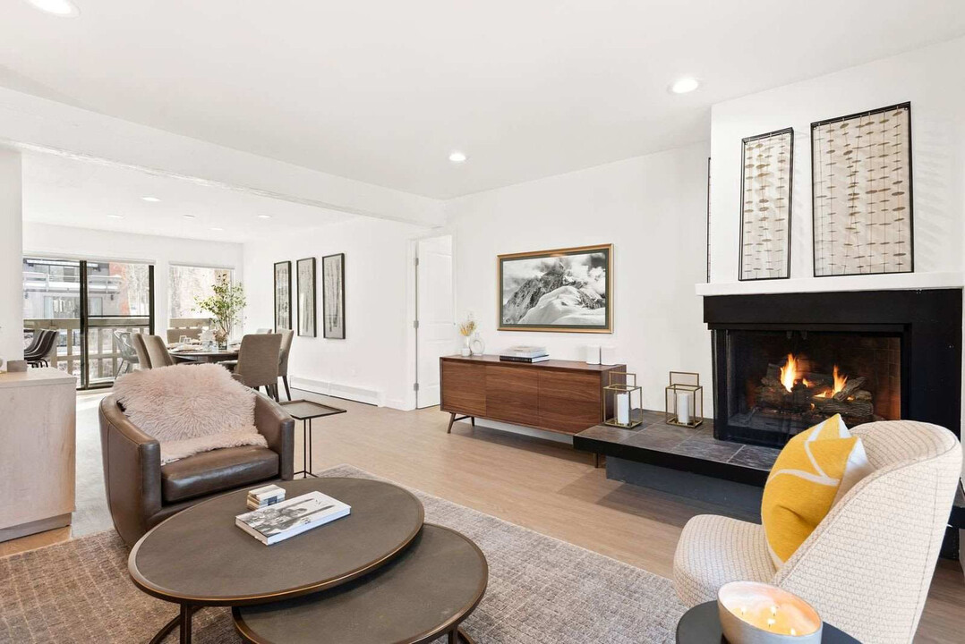 1028 E Hopkins Ave in Aspen, CO - Building Photo