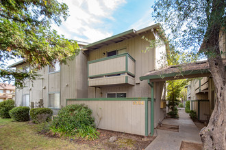 Olive Orchard Apartments in Sacramento, CA - Building Photo - Other