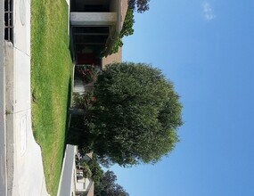 11 Baroda Dr in Camarillo, CA - Building Photo - Building Photo