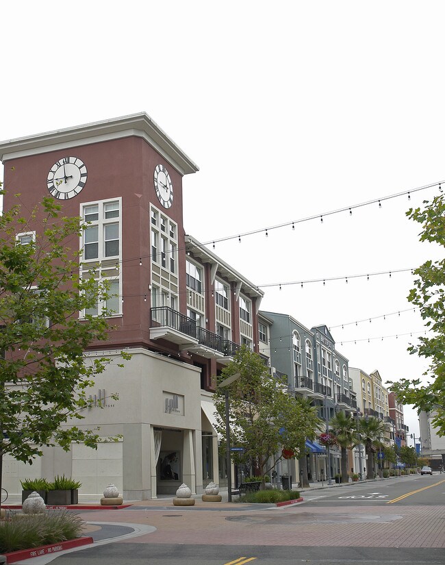 56715699 Bay St Apartments Emeryville, CA Apartments For Rent