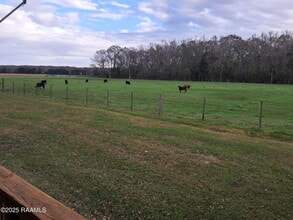 11330 Audubon Rd in Abbeville, LA - Building Photo - Building Photo