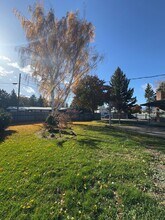 1001 N Brooklane St in Ellensburg, WA - Building Photo - Building Photo