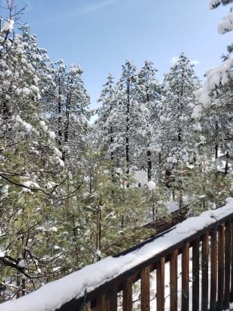 3174 Lindsey Loop in Flagstaff, AZ - Building Photo - Building Photo