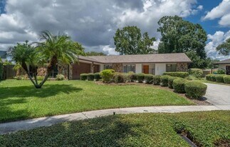 3203 Stoneybrook Ln in Tampa, FL - Building Photo