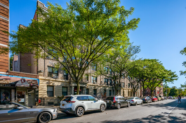 Dorchester Heights Condominiums in Brooklyn, NY - Building Photo - Building Photo