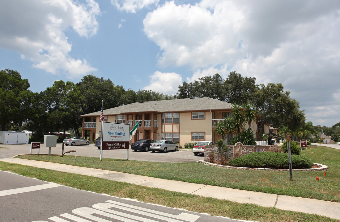 River Trace Apartments in New Port Richey, FL - Building Photo