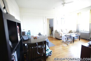 66 Chiswick Rd, Unit 9 in Boston, MA - Building Photo