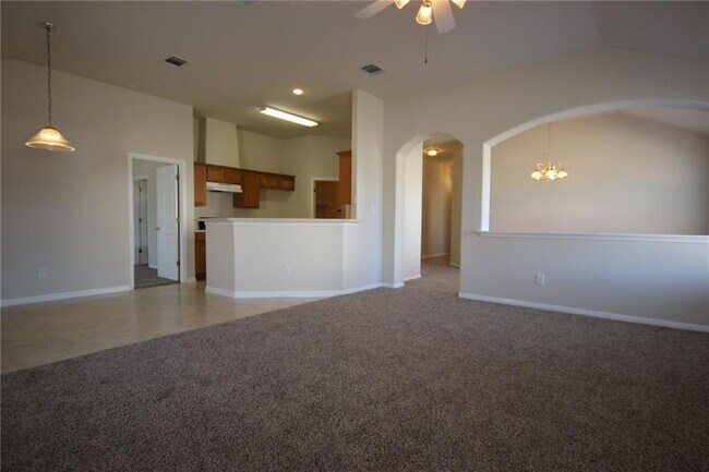 507 Sweetgum Cove in Round Rock, TX - Building Photo - Building Photo