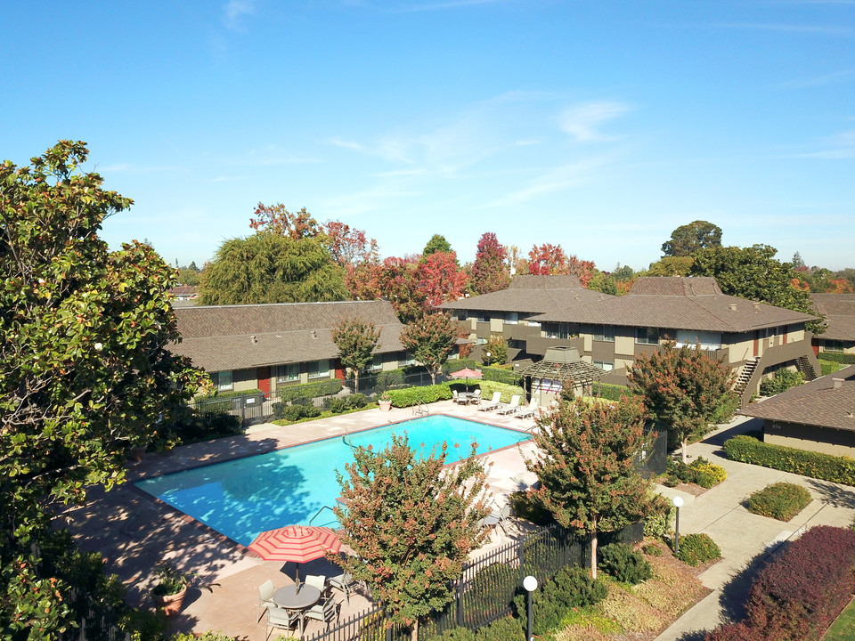 Olive Garden Apartments in Sunnyvale, CA - Building Photo