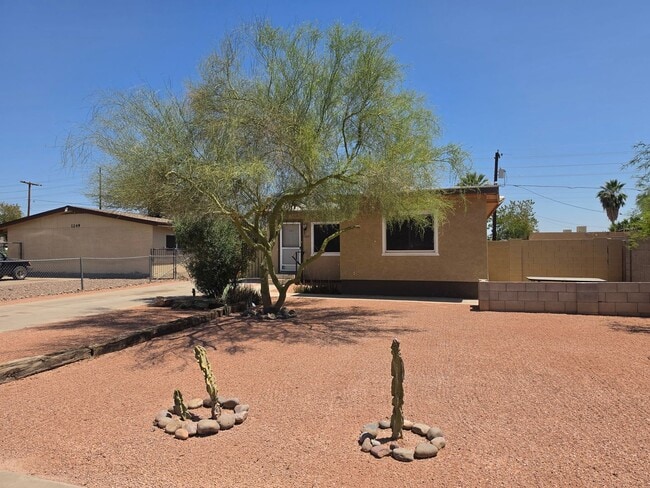 property at 1243 N Oleander St