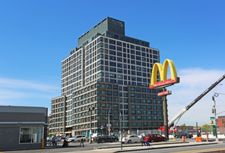 550 Vanderbilt in Brooklyn, NY - Foto de edificio - Building Photo