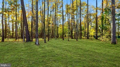 14101 Kathleen Ln in Brandywine, MD - Building Photo - Building Photo