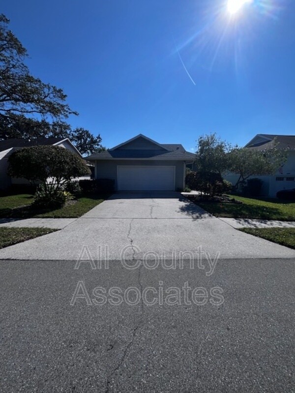 1007 S Pointe Alexis Dr in Tarpon Springs, FL - Building Photo - Building Photo